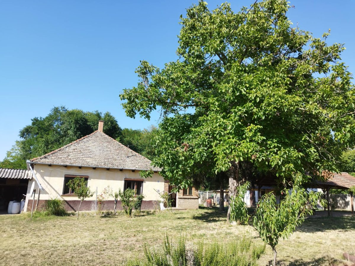01-Csaszartoltes-Kiscsala-25M-104m2