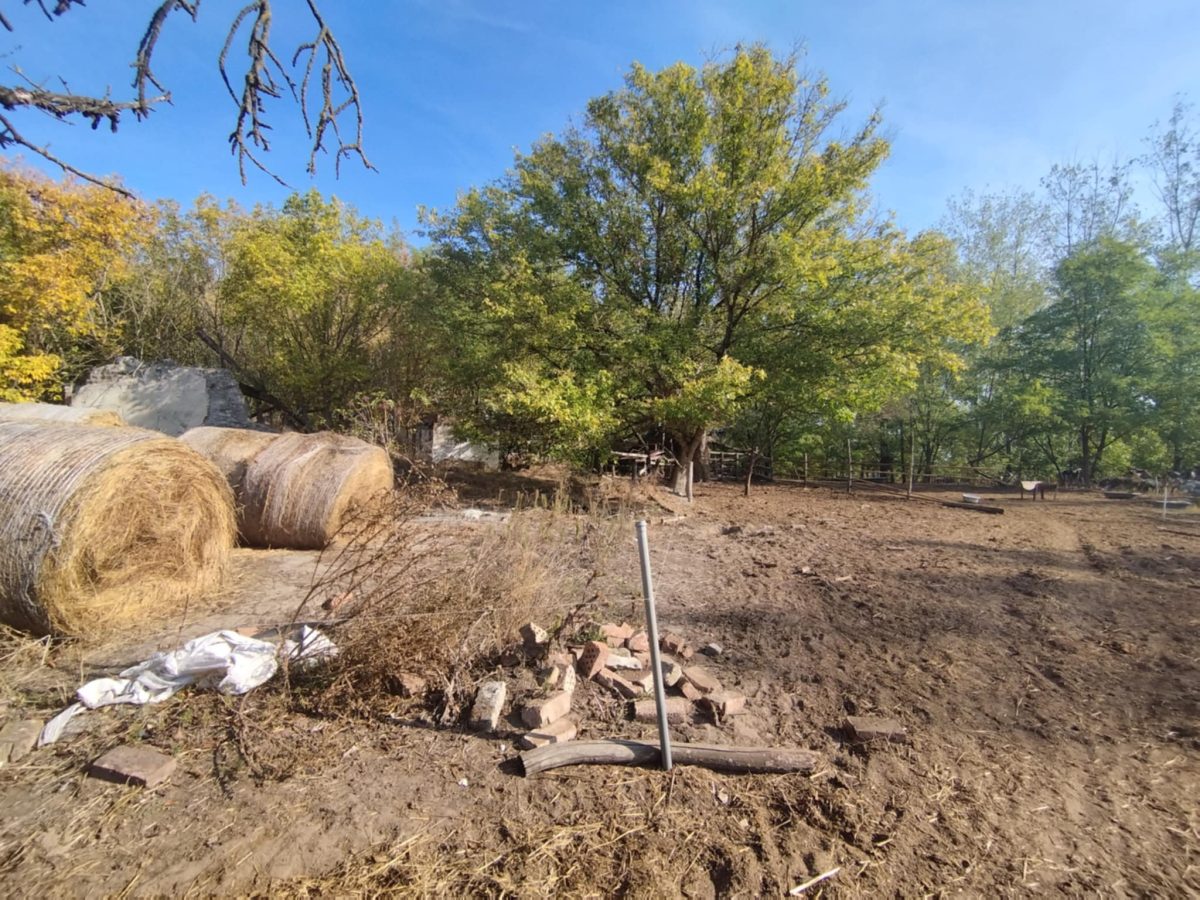 02-Kiskunfelegyhaza-10M-kulterulet