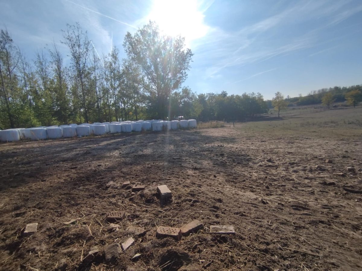 03-Kiskunfelegyhaza-10M-kulterulet