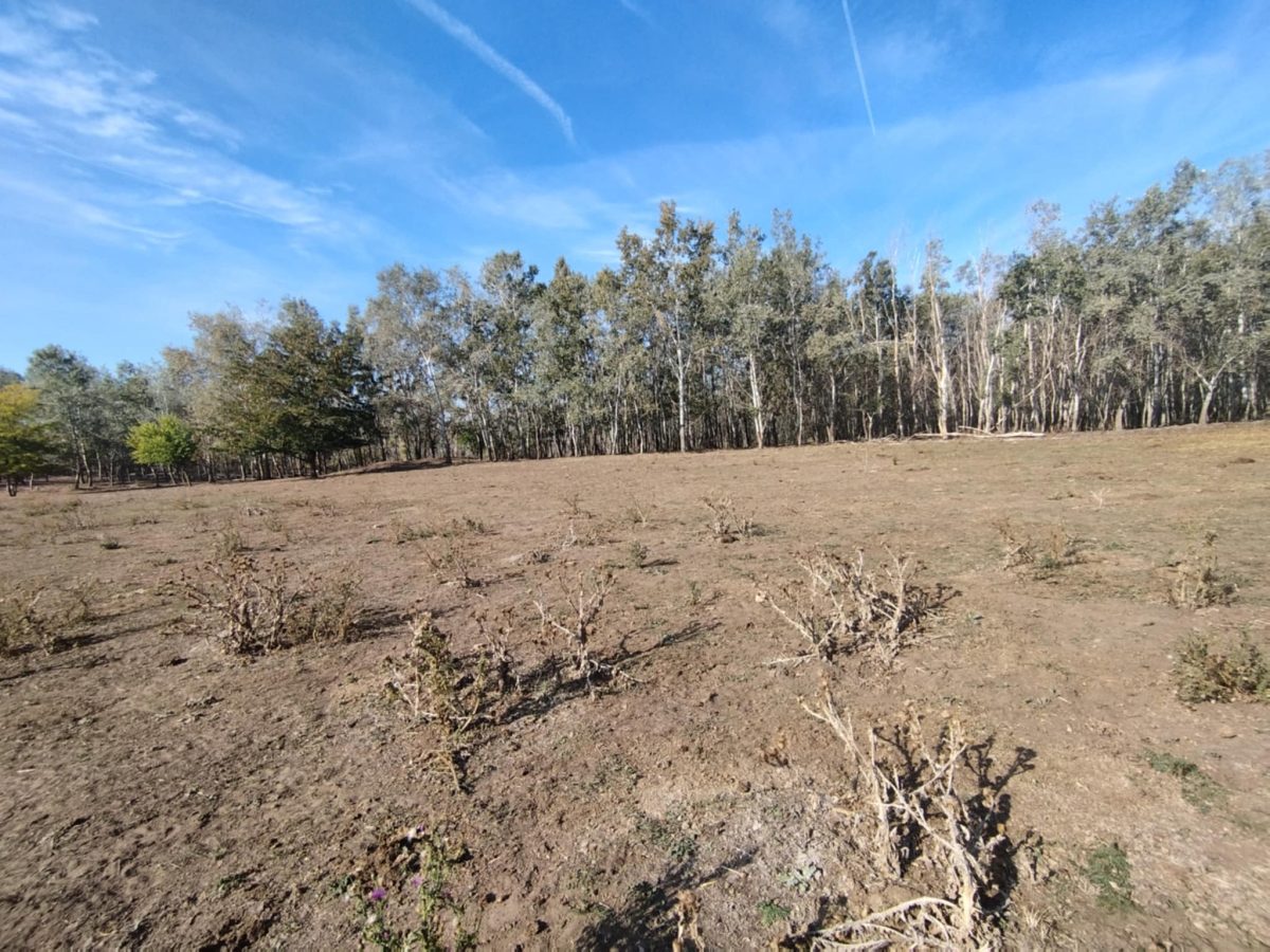 05-Kiskunfelegyhaza-10M-kulterulet