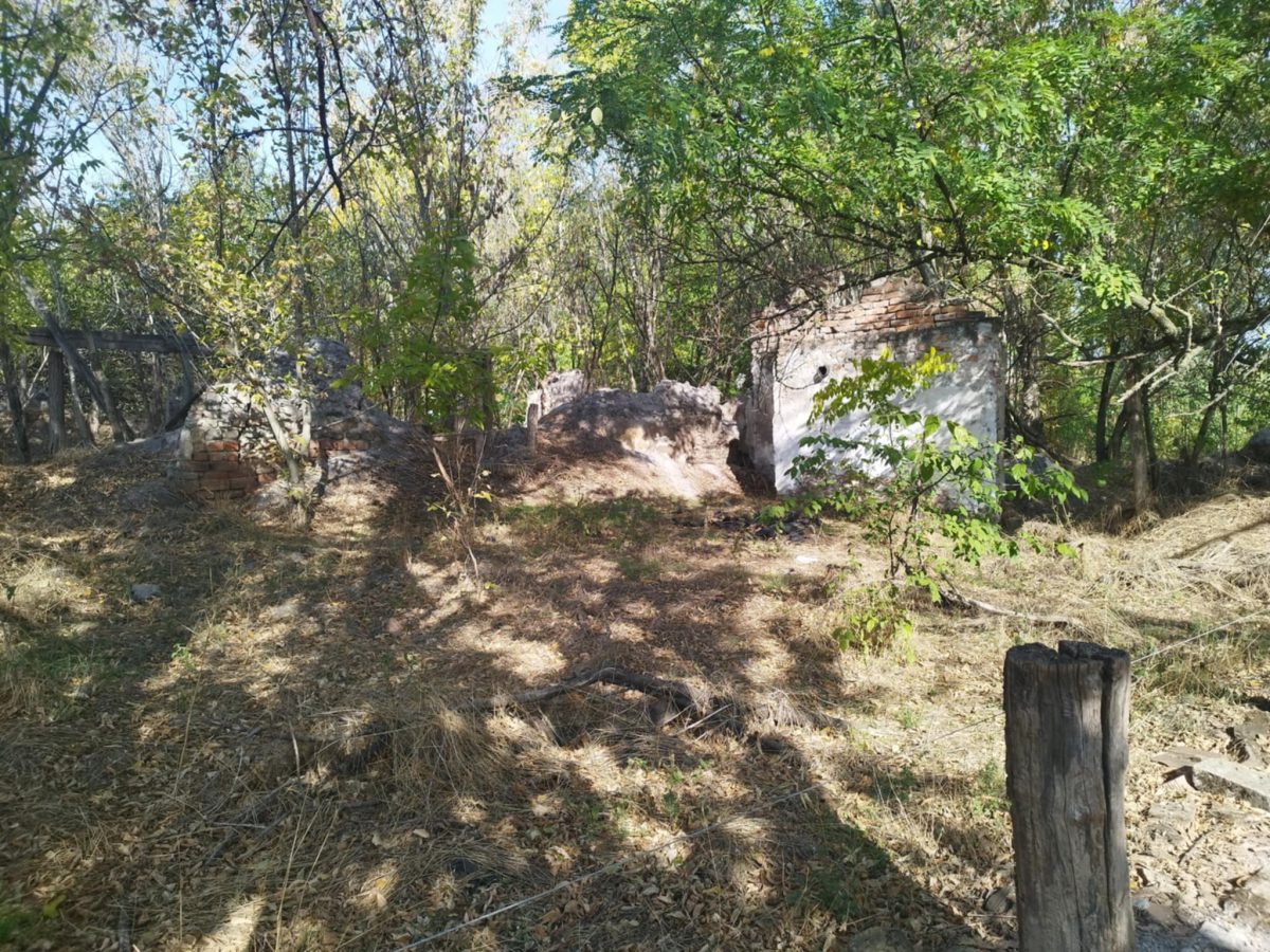 06-Kiskunfelegyhaza-kulterulet