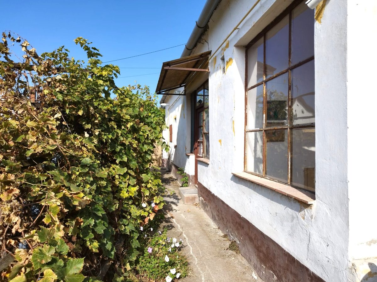 23-Kiskunhalas-20M-80m2