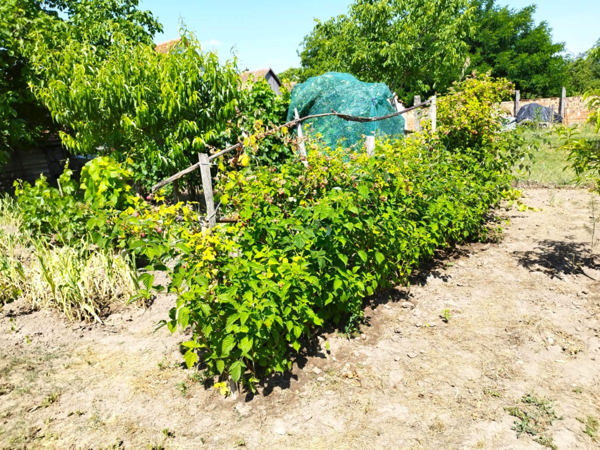 24-Janoshalma-105M-101m2