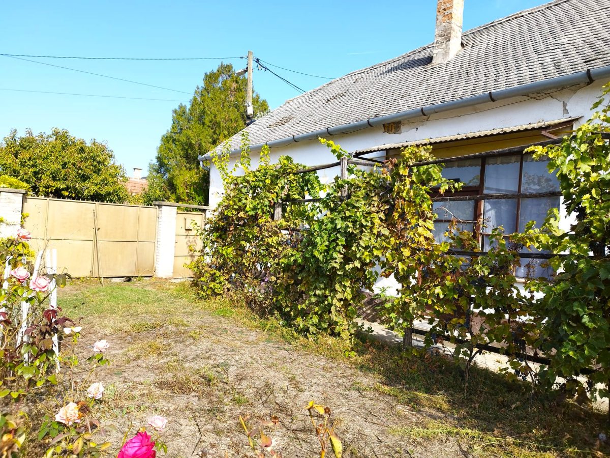 24-Kiskunhalas-20M-80m2