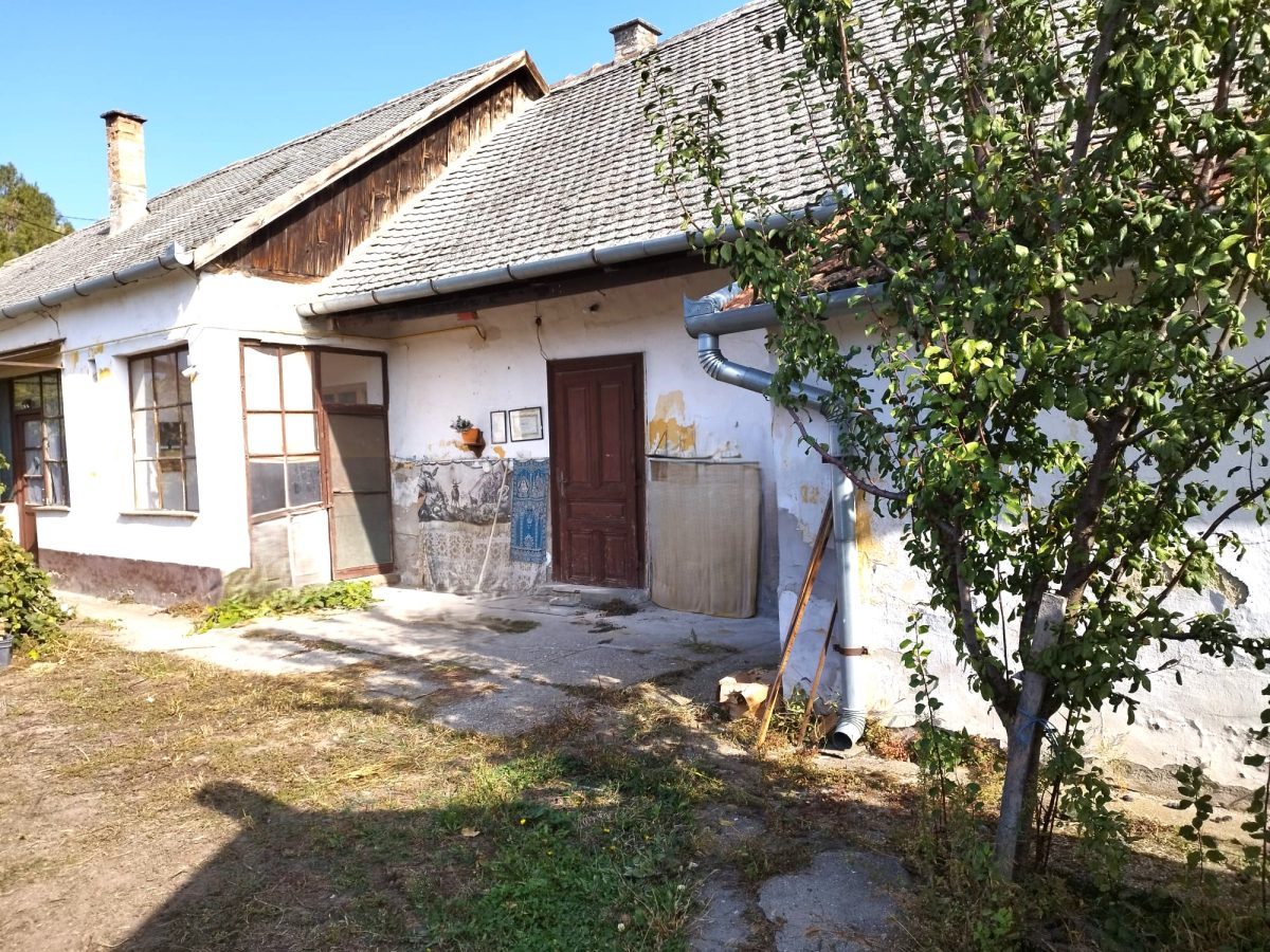25-Kiskunhalas-20M-80m2