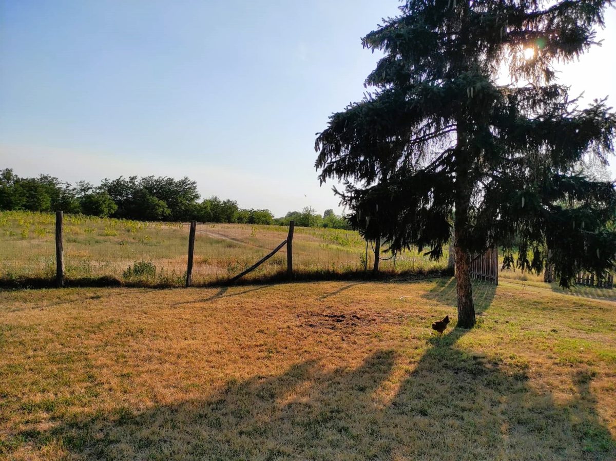 27-Keleshalom-145M-86m2