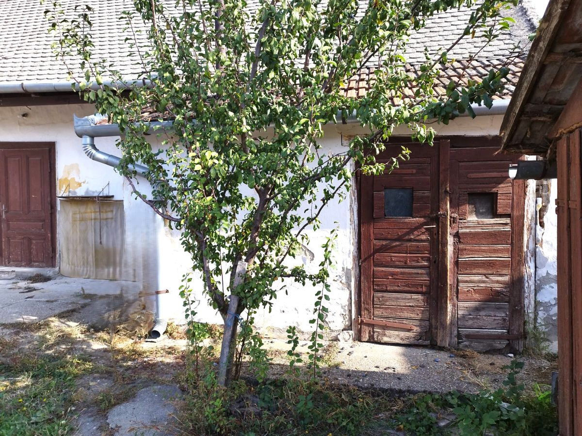 27-Kiskunhalas-20M-80m2