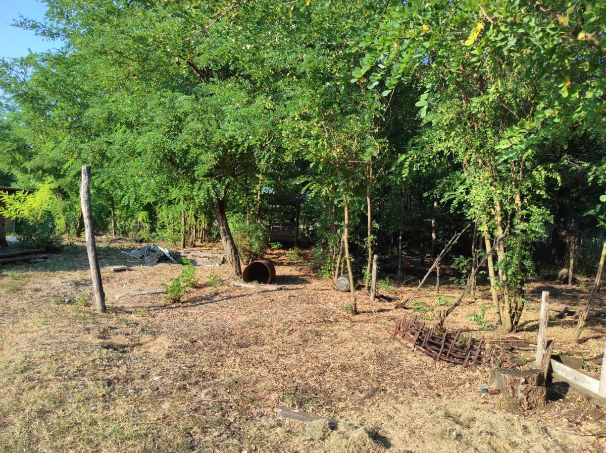 29-Keleshalom-145M-86m2