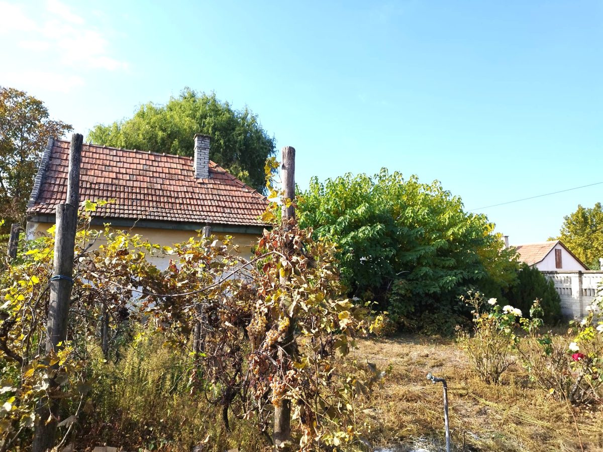 29-Kiskunhalas-20M-80m2