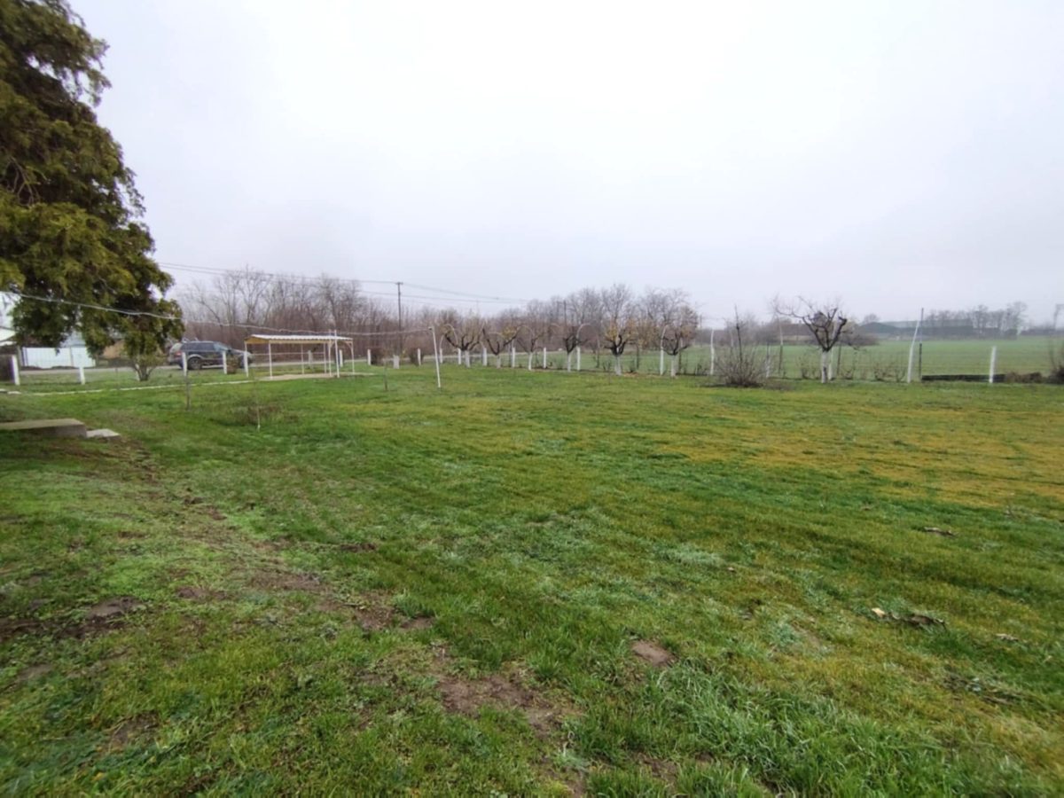 29-Melykut-25M-96m2