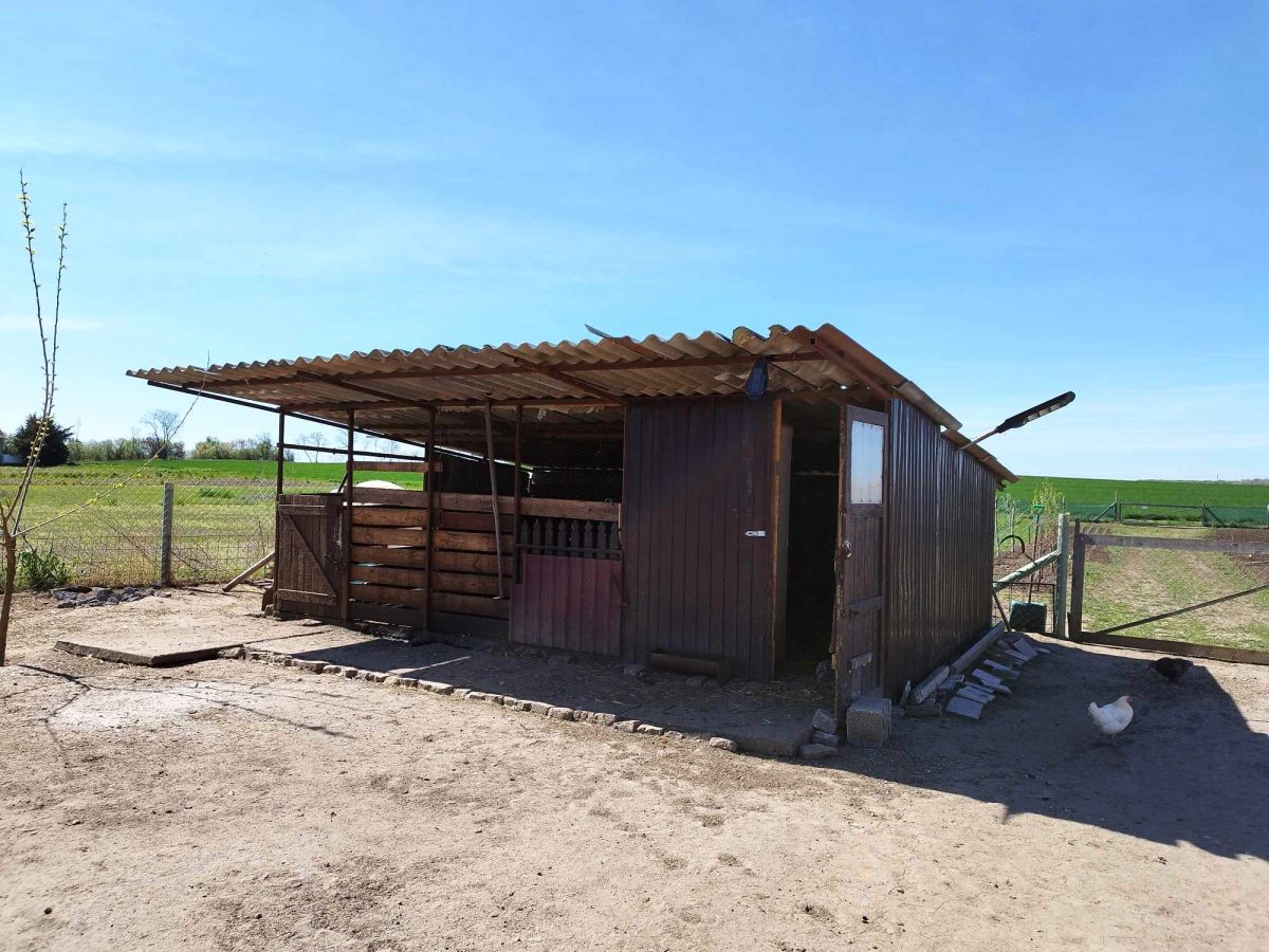 41Kisszallas-349M-103m2