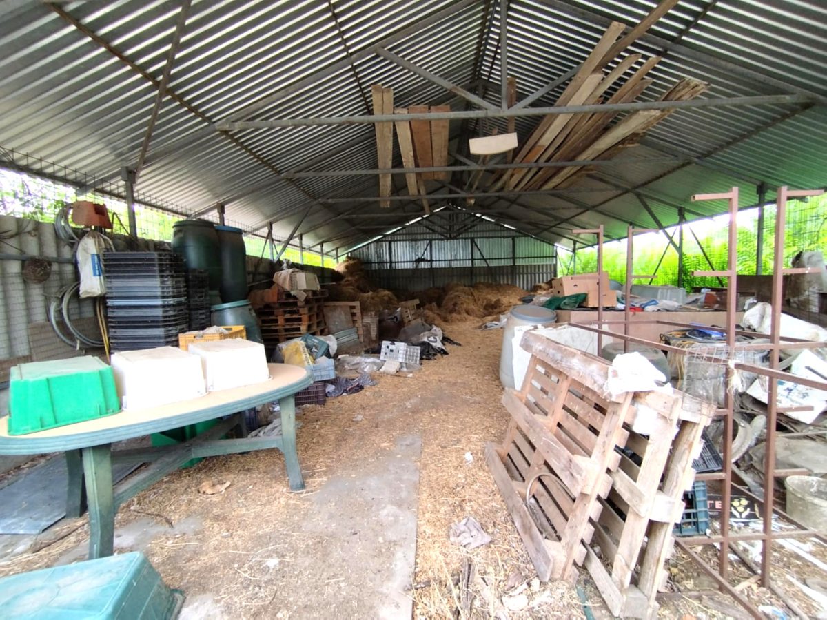 47-Kelebia-40M-160m2