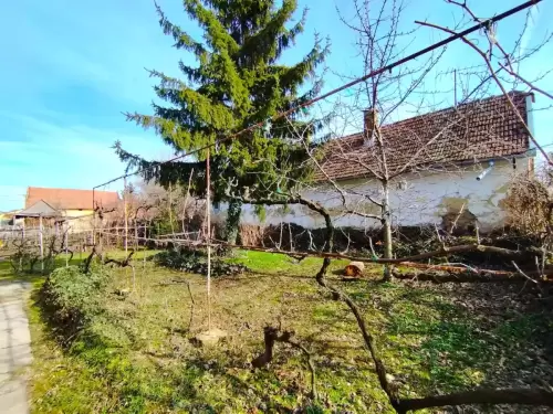 Jánoshalma-13,5 Mft-92m2-24