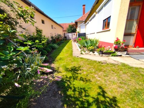 20-Janoshalma-105M-101m2