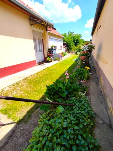 21-Janoshalma-105M-101m2