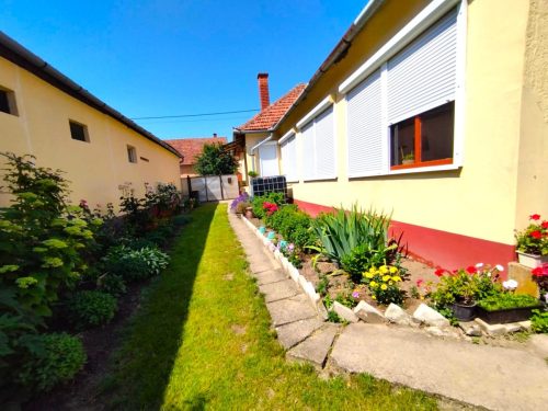 22-Janoshalma-10.5M-101m2