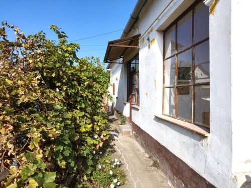 23-Kiskunhalas-20M-80m2