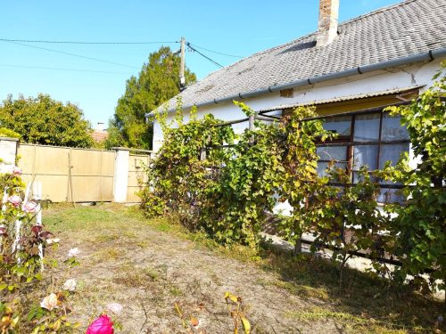24-Kiskunhalas-20M-80m2