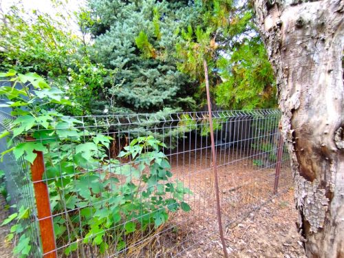 39-Kelebia-40M-160m2