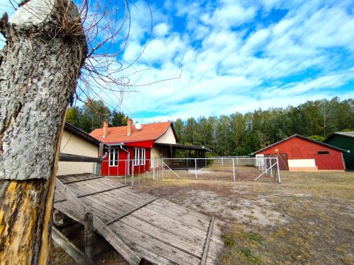 42-Csengele-40M-164m2