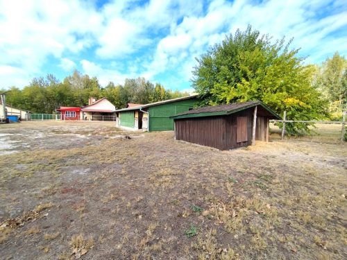46-Csengele-40M-164m2