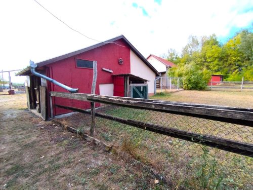 49-Csengele-40M164m2