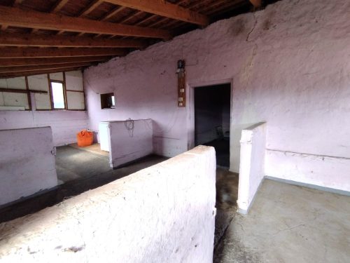 60-Csengele-40M-164m2