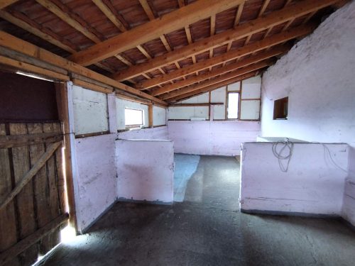 61-Csengele-40M164m2