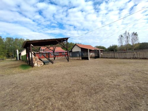 62-Csengele-40M-164-m2